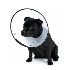 Gulerul inteligent - marimea 5