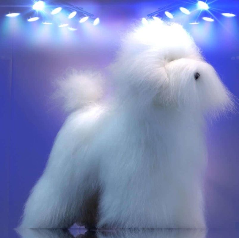 DogPro