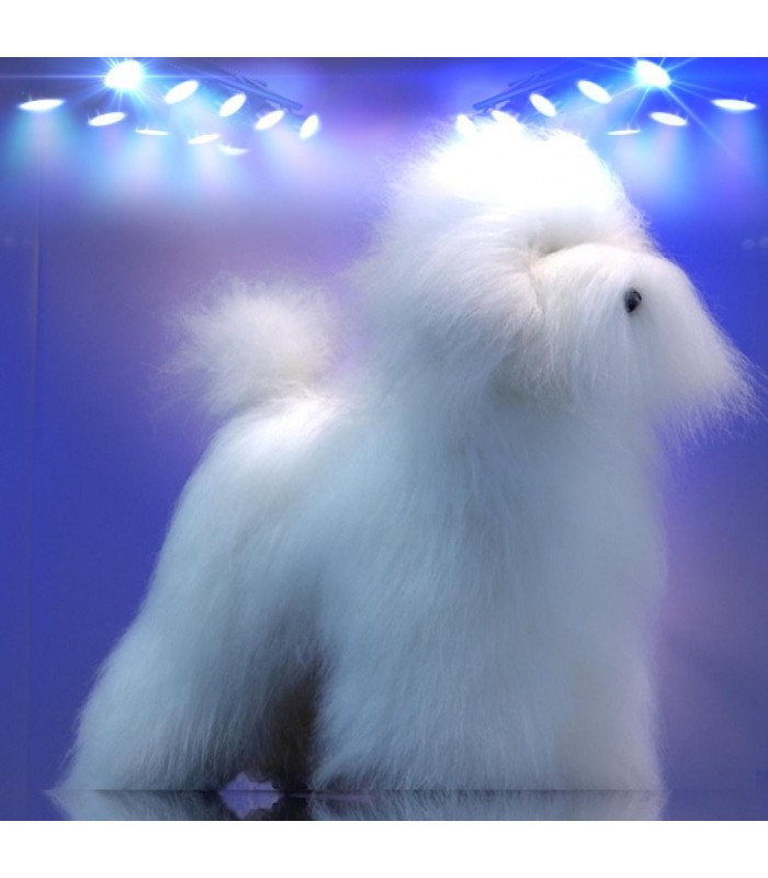 DogPro