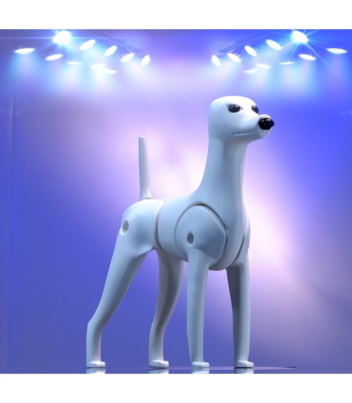 DogPro