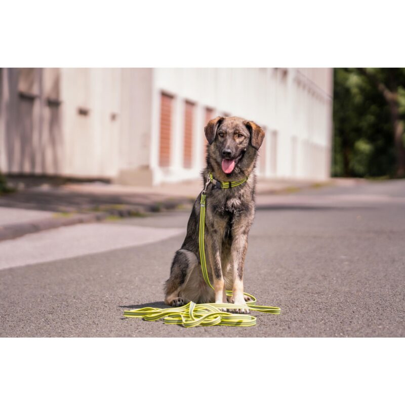 DogPro