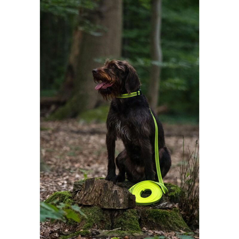 DogPro
