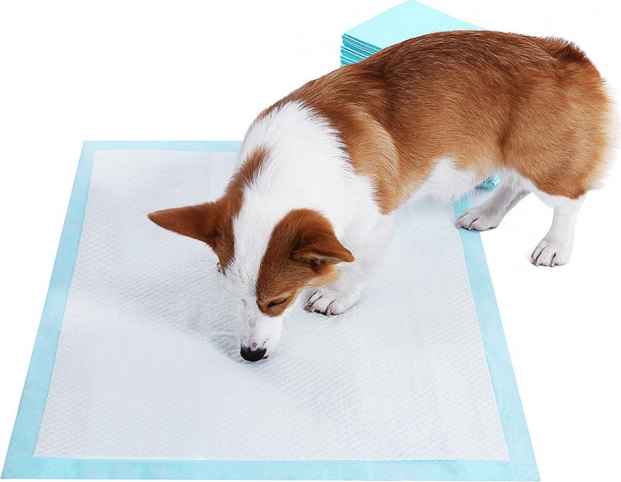 DogPro