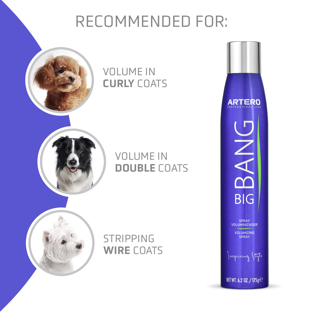 Spray Extra Volum ARTERO Big Bang - imagine 3
