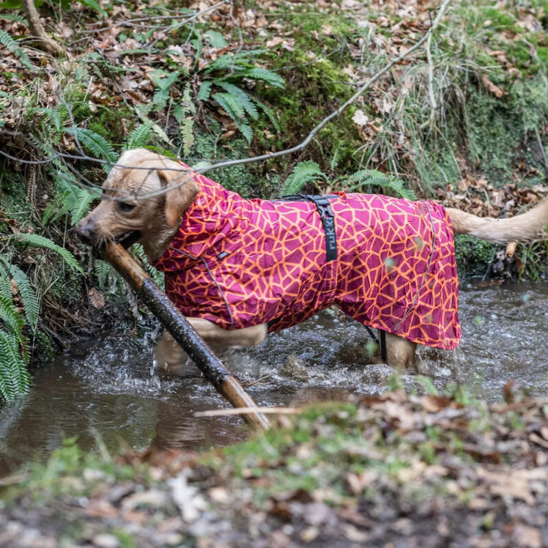 DogPro