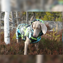 Rukka Stream CAMO Pelerna de ploaie pentru caini