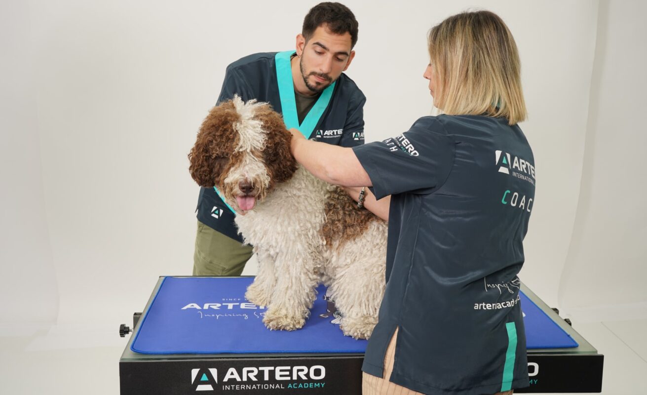 DogPro