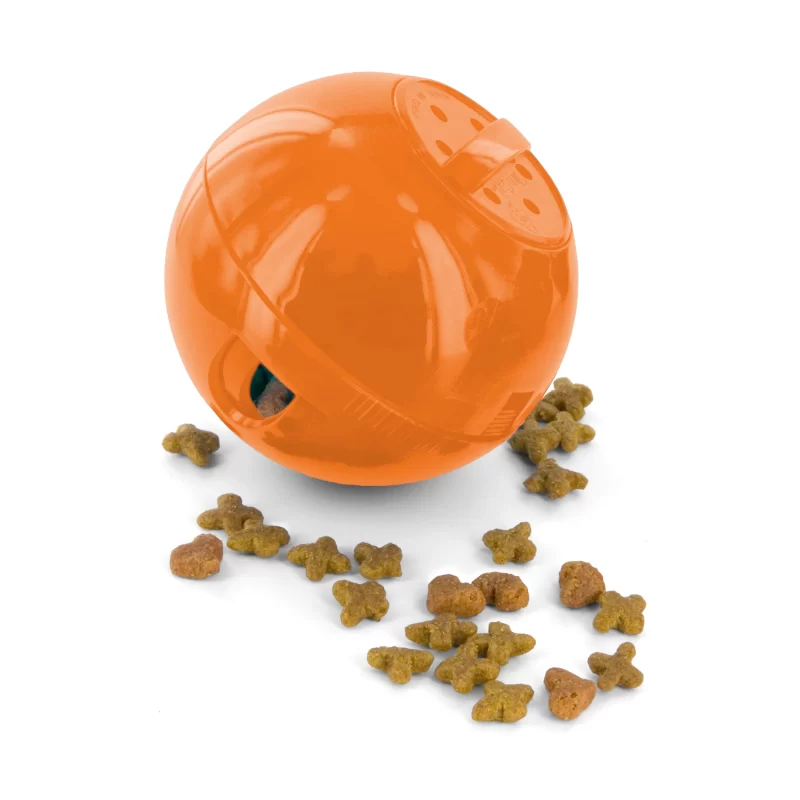 DogPro