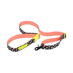 Artero Congo lesa toaletaj