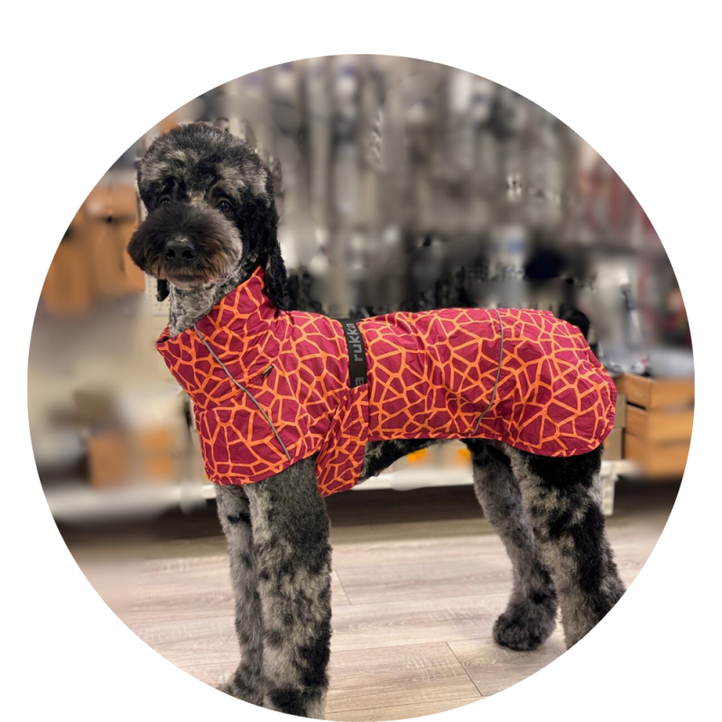 DogPro