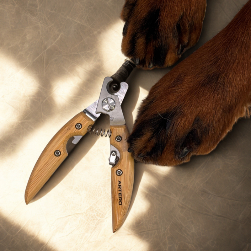 DogPro