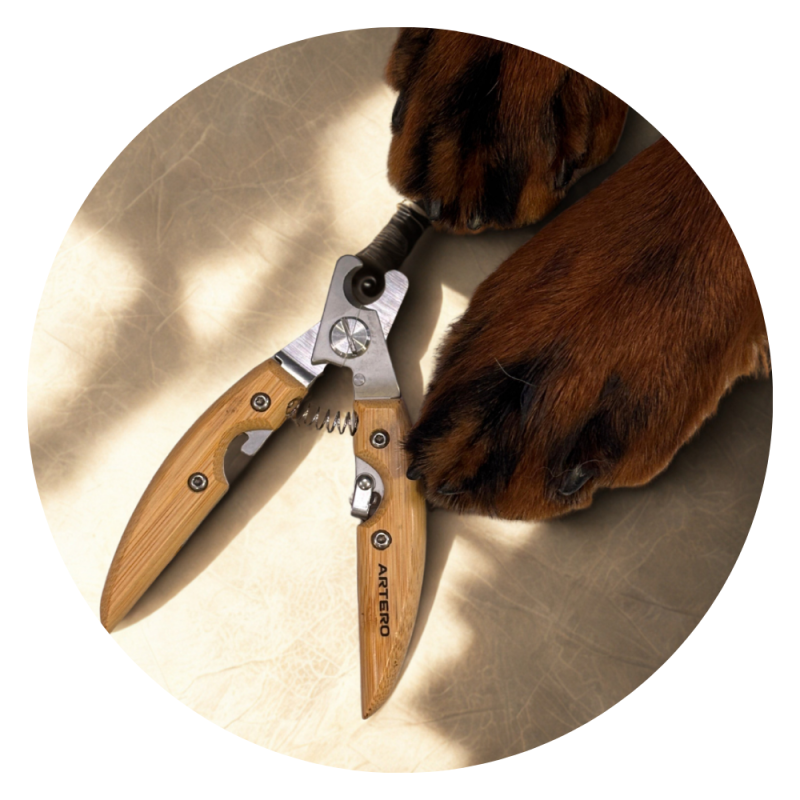 DogPro