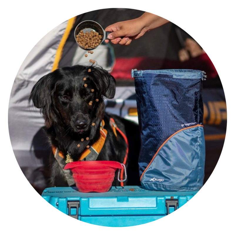 DogPro