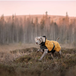 Alternative view of Rukka Pets Bubble Coat Honey