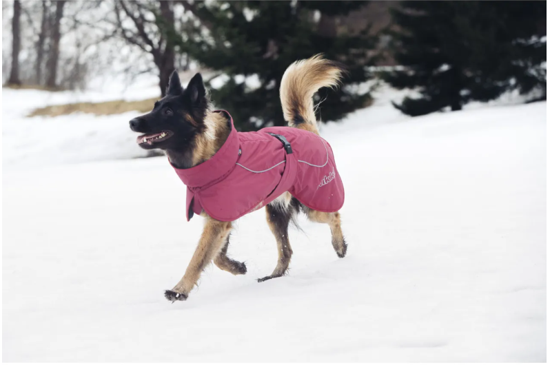 Geaca impermeabila de iarna - Rukka Stormy Coat - imagine 3