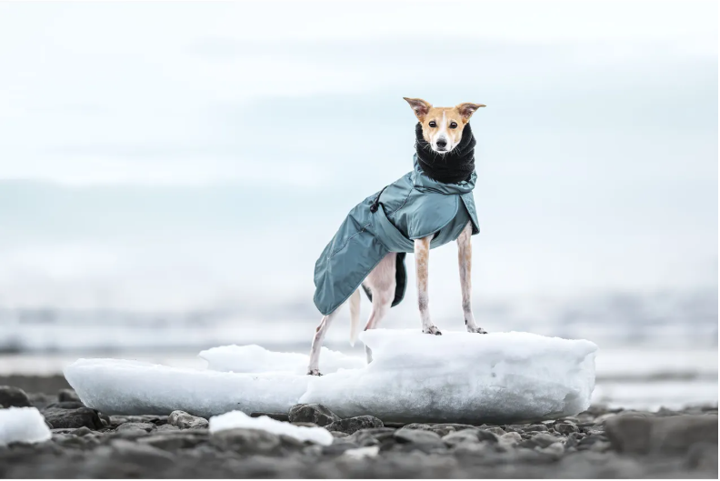 Geaca impermeabila de iarna - Rukka Stormy Coat - imagine 7