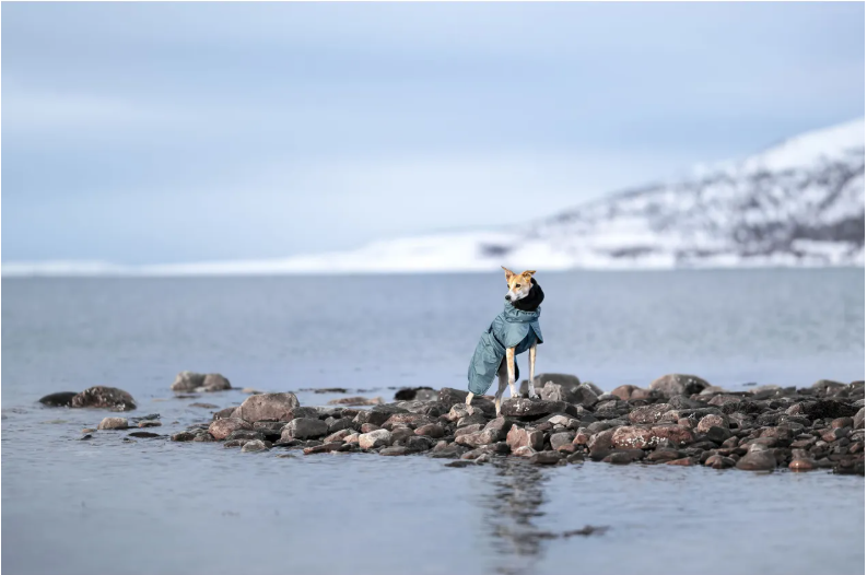 Geaca impermeabila de iarna - Rukka Stormy Coat - imagine 4