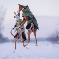 Alternative view of Jacheta calduroasa de iarna Rukka WARMUP 2.0 COAT