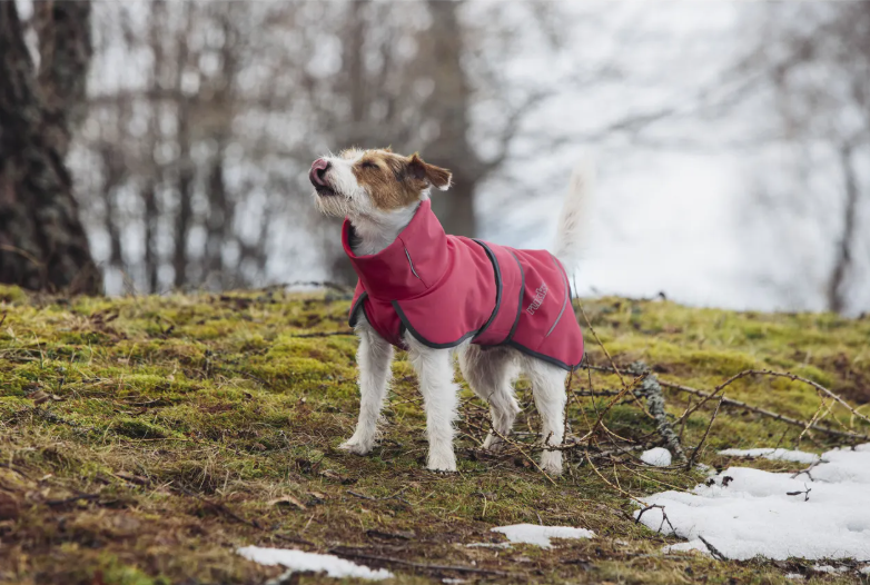 jacheta softshell termica - Rukka CORAL RED - imagine 3