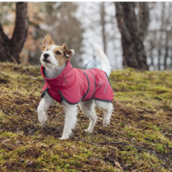 Alternative view of jacheta softshell termica - Rukka CORAL RED