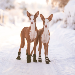 Alternative view of Incaltaminte pentru caini Rukka Pets Thermal Winter Shoes