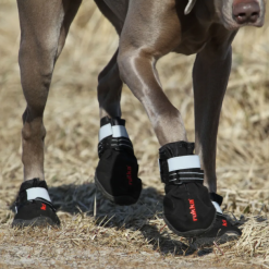 Alternative view of Incaltaminte pentru caini Rukka Pets Proff Shoes