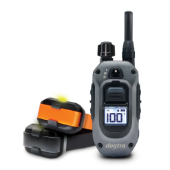 Alternative view of Zgarda electronica Dogtra 640X