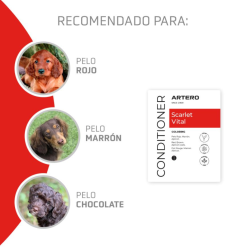 Alternative view of Balsam ARTERO SCARLET VITAL