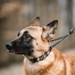 Alternative view of Zgarda dresaj Herm Sprenger Ultra-Plus ClicLock inox negru