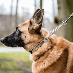 Alternative view of Zgarda de dresaj ULTRA-PLUS cu lant si inchidere ClicLock, inox negru