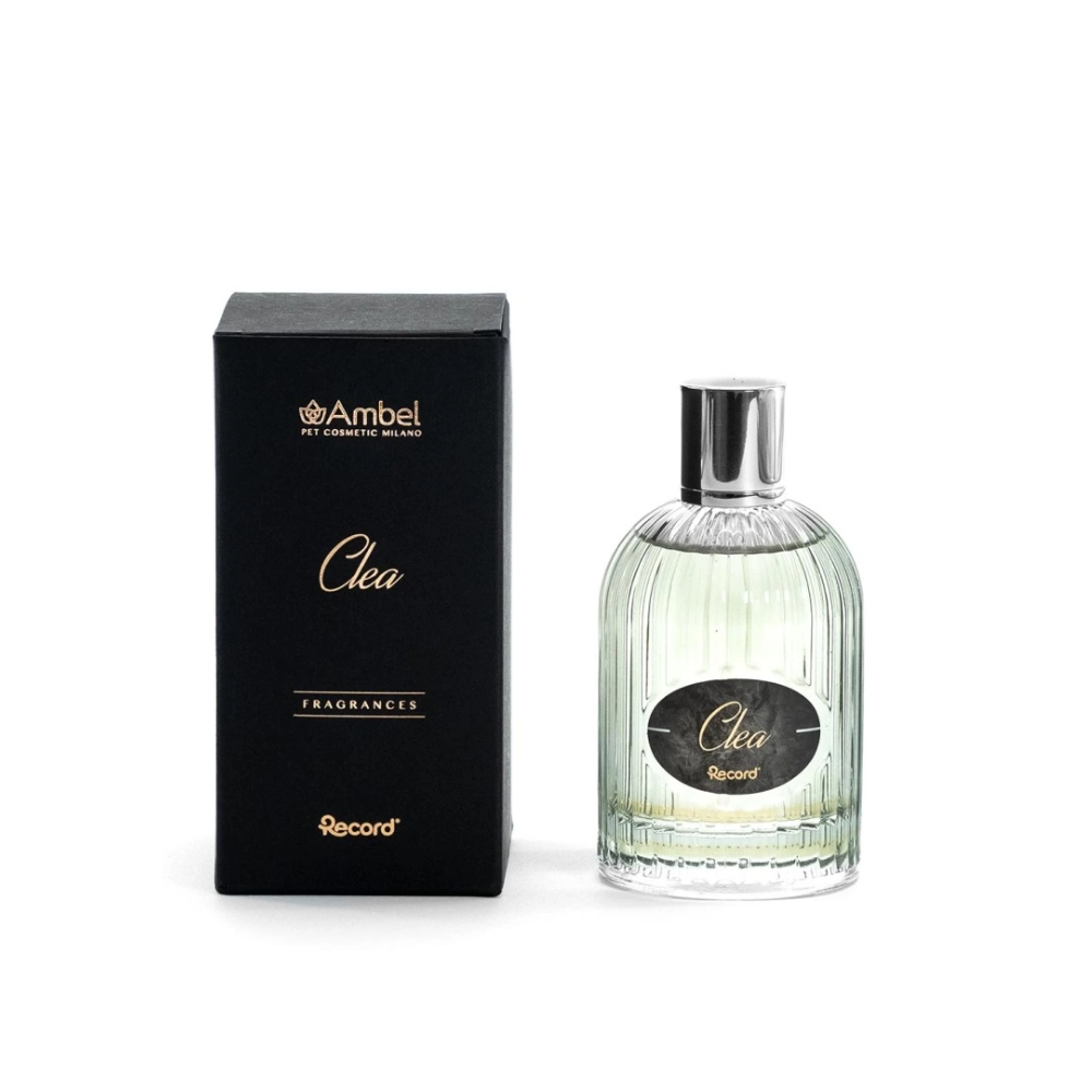 Ambel Clea Parfum