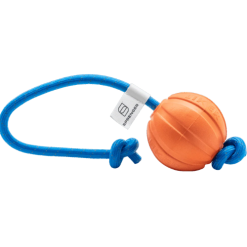 FUN ball SPRENGER